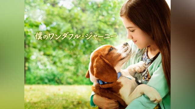 僕のワンダフル・ジャーニー