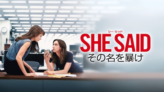 SHE SAID/シー・セッド その名を暴け