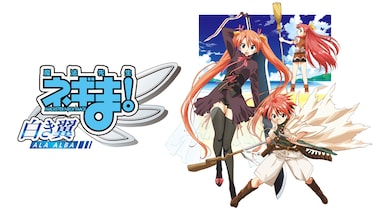 魔法先生ネギま! ~白き翼 ALA ALBA~