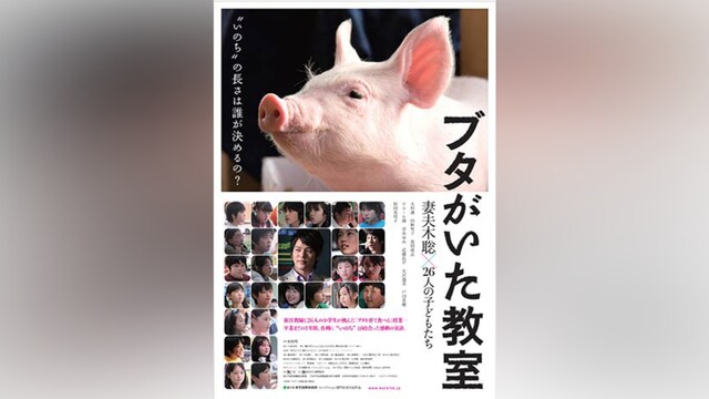 ブタがいた教室