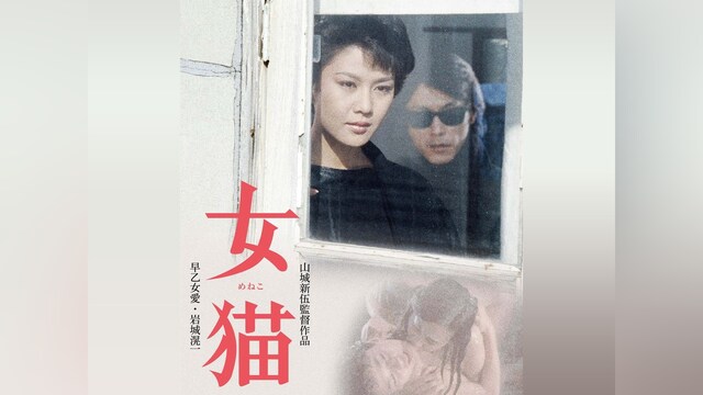 女猫