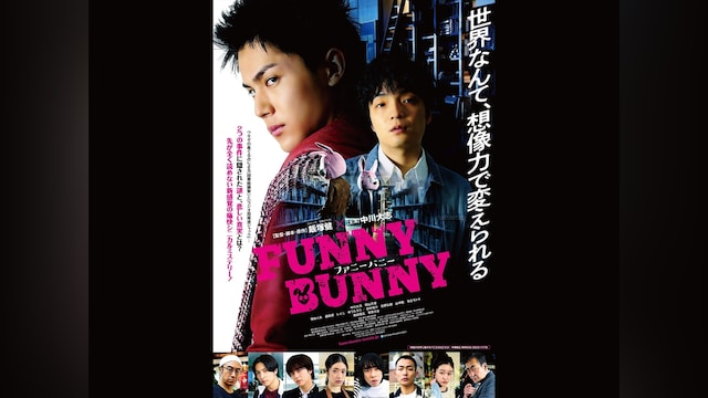 FUNNY BUNNY