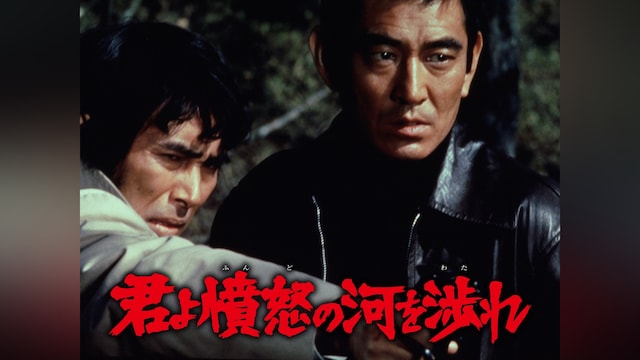 君よ憤怒の河を渉れ