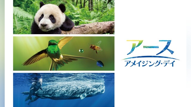 アース：アメイジング・デイ