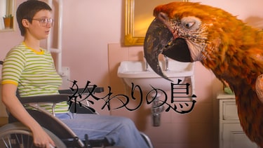 終わりの鳥