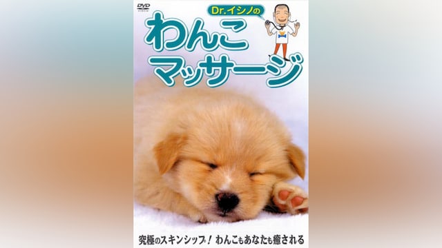 Dr.イシノのわんこマッサージ