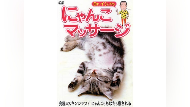 Dr.イシノのにゃんこマッサージ
