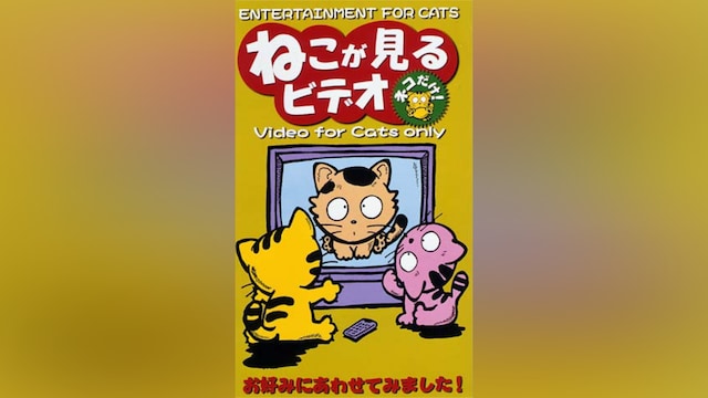 ねこがみるビデオ/ネコだけ!