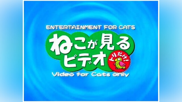 ねこがみるビデオ/トリだけ!