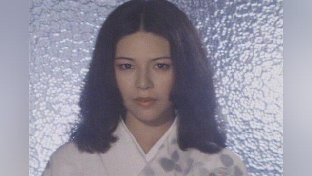 白日夢(81年版)