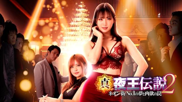 真・夜王伝説2 ネオン街No.1の夢と肉欲の罠