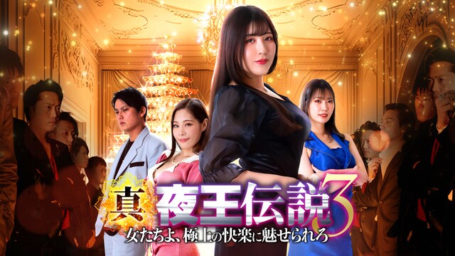 真・夜王伝説3 女たちよ、極上の快楽に魅せられろ