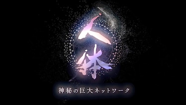 NHKスペシャル シリーズ 人体 神秘の巨大ネットワーク