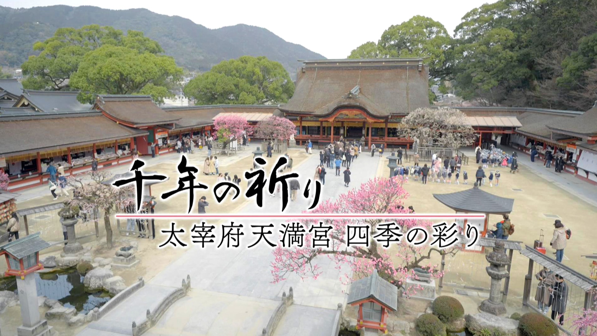 「千年の祈り 太宰府天満宮 四季の彩り」ドキュメンタリー/その他 |【無料体験】動画配信サービスのビデオマーケット