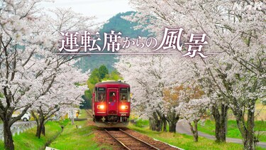 運転席からの風景