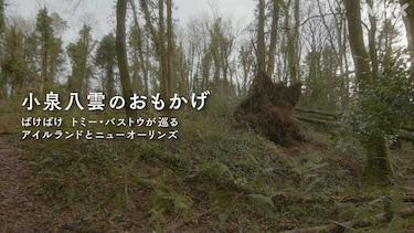 小泉八雲のおもかげ