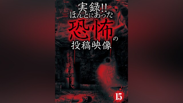 実録!!ほんとにあった恐怖の投稿映像15