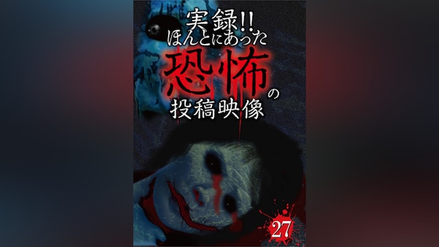 実録!!ほんとにあった恐怖の投稿映像 27