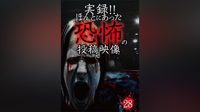 実録!!ほんとにあった恐怖の投稿映像 28