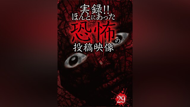 実録!!ほんとにあった恐怖の投稿映像 29