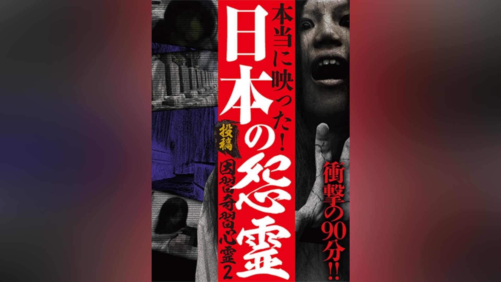 カンテレドーガ【初回30日間無料トライアル！】