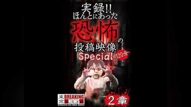 実録!!ほんとにあった恐怖の投稿映像 スペシャル 2章