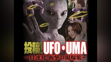 投稿!UFO・UMA 11連発 衝撃の現場集