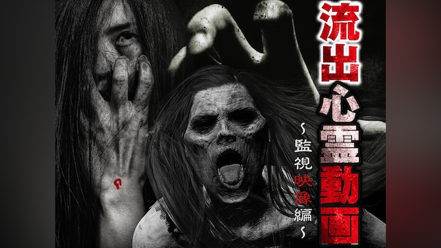 流出心霊動画 ～監視映像編～