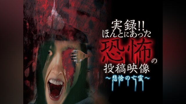 実録!!ほんとにあった恐怖の投稿映像 ～悲愴の亡霊～