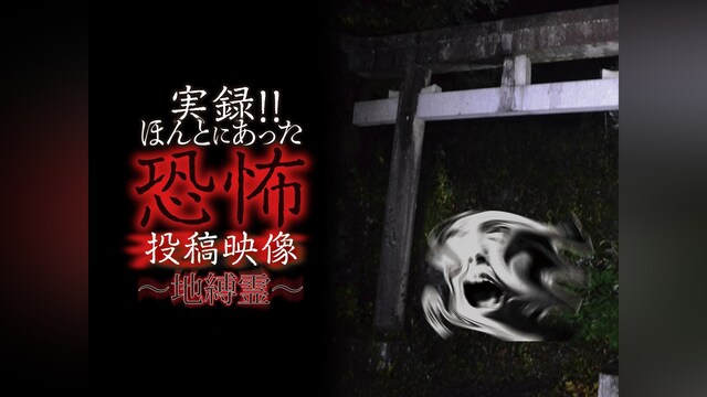 実録!!ほんとにあった恐怖の投稿映像～地縛霊～