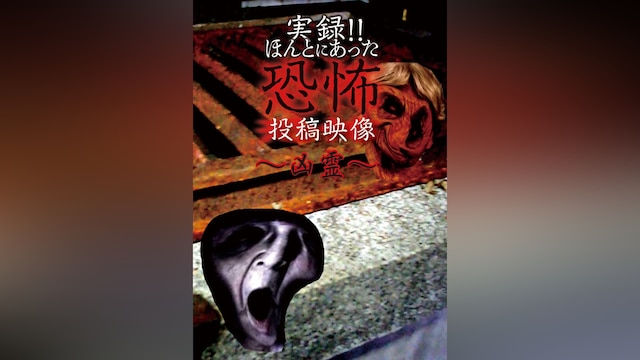 実録!!ほんとにあった恐怖の投稿映像～凶霊～