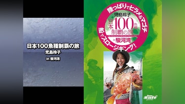 日本100魚種制覇の旅 児島玲子 in駿河湾