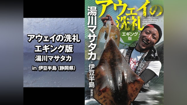 アウェイの洗礼 エギング版 湯川マサタカ in伊豆半島(静岡県)