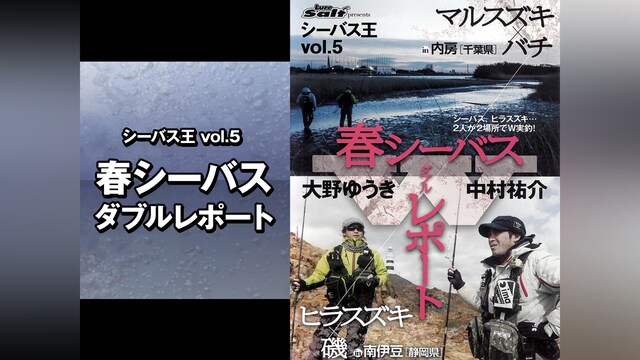シーバス王vol.5　春シーバスダブルレポート