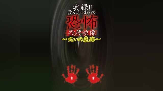 実録!!ほんとにあった恐怖の投稿映像～呪いの痕跡～