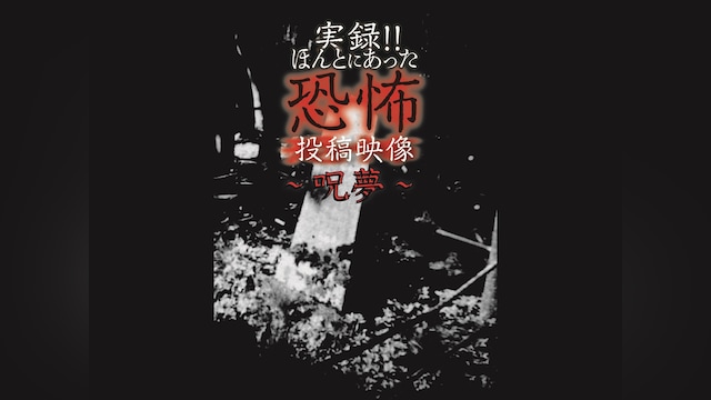 実録!!ほんとにあった恐怖の投稿映像～呪夢～