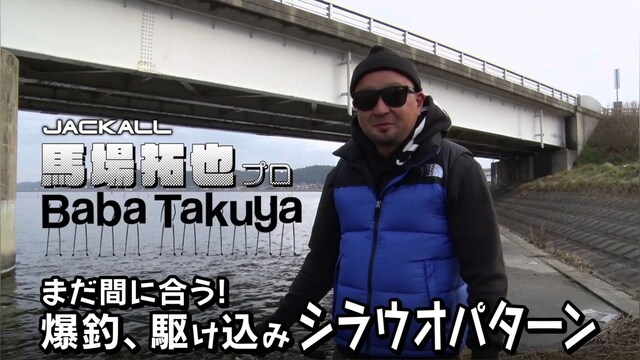 まだ間に合う 爆釣、駆け込みシラウオパターン