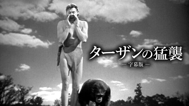 ターザンの猛襲（字幕版）