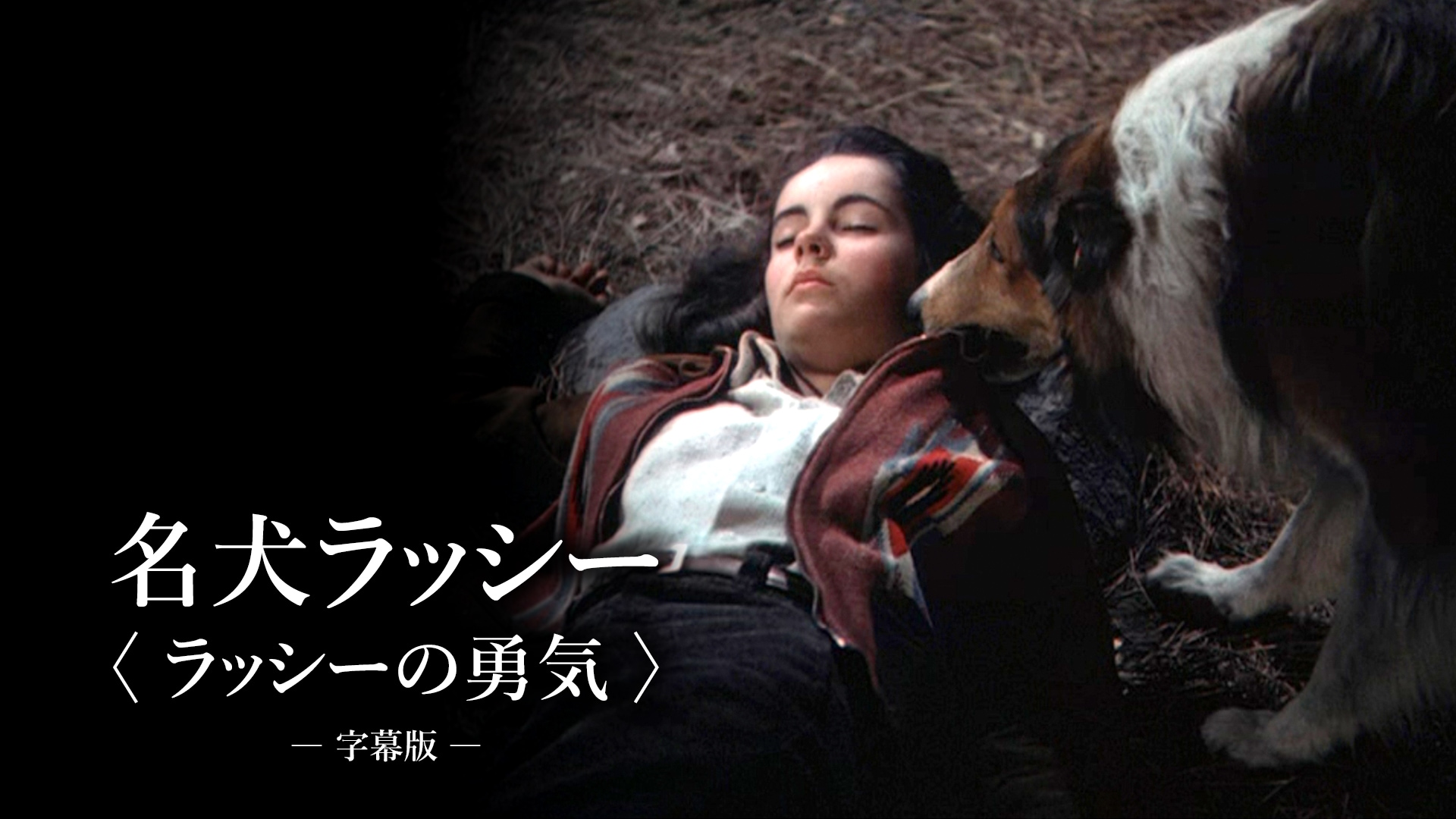 名犬ラッシーの勇気　USオリジナル映画ポスター 名犬ラッシーの勇気 USオリジナル映画ポスター - メルカリ