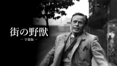 街の野獣（字幕版）