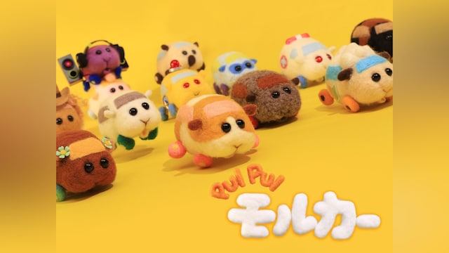 PUI PUI モルカー