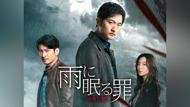 雨に眠る罪-非常目撃-