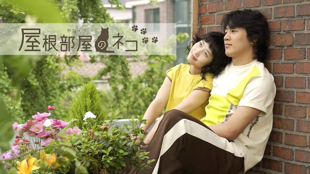 屋根部屋のネコ