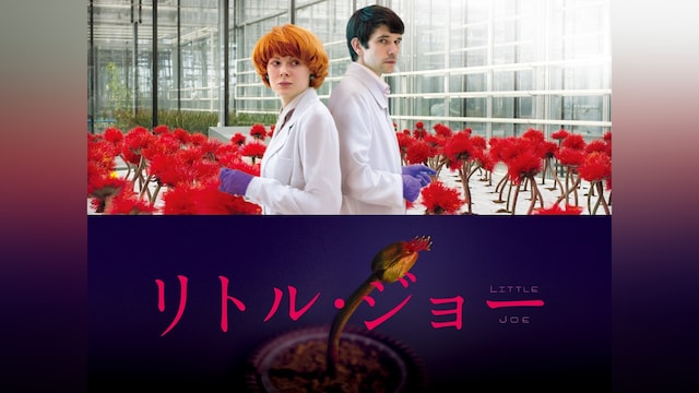 リトル・ジョー