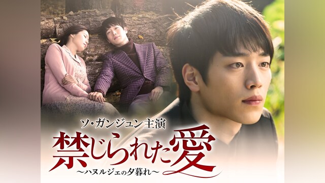 禁じられた愛~ハヌルジェの夕暮れ~