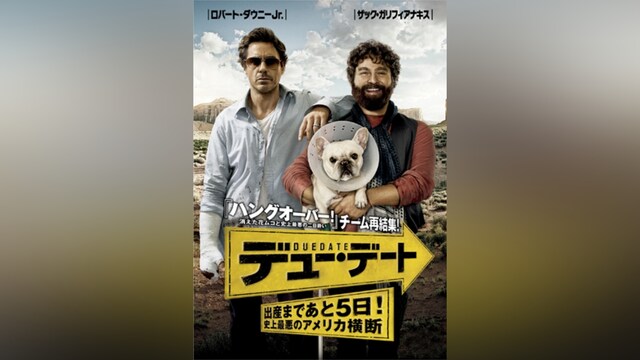デュー・デート ~出産まであと5日!史上最悪のアメリカ横断~