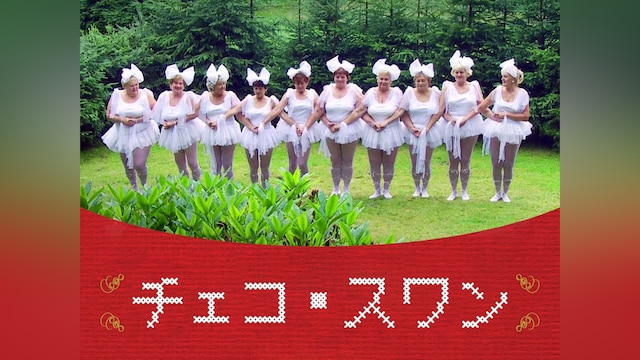 チェコ・スワン