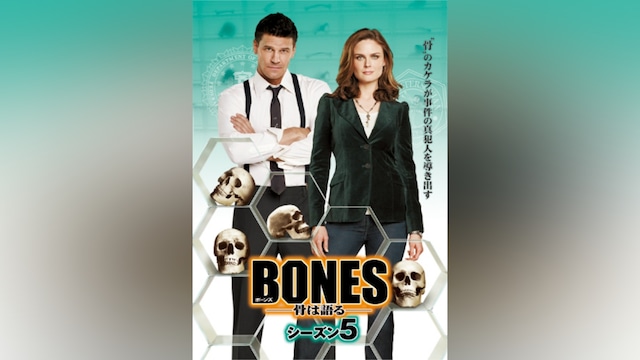 BONES ―骨は語る― シーズン5