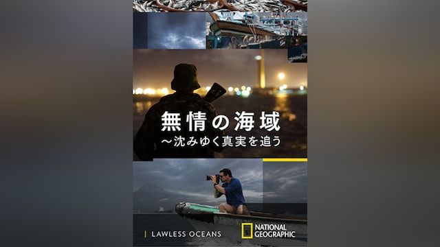 無情の海域 ～沈みゆく真実を追う