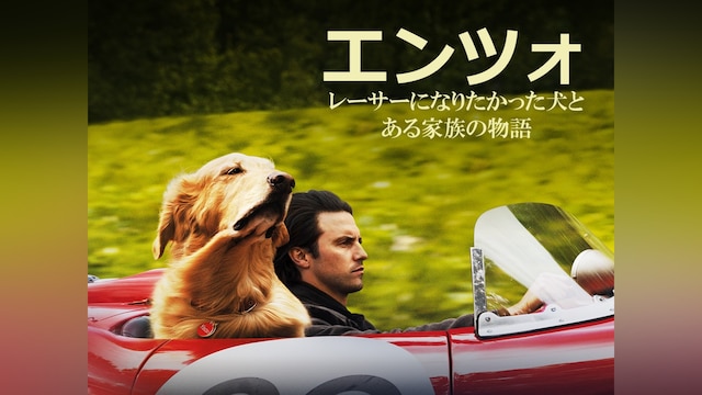 エンツォ レーサーになりたかった犬とある家族の物語